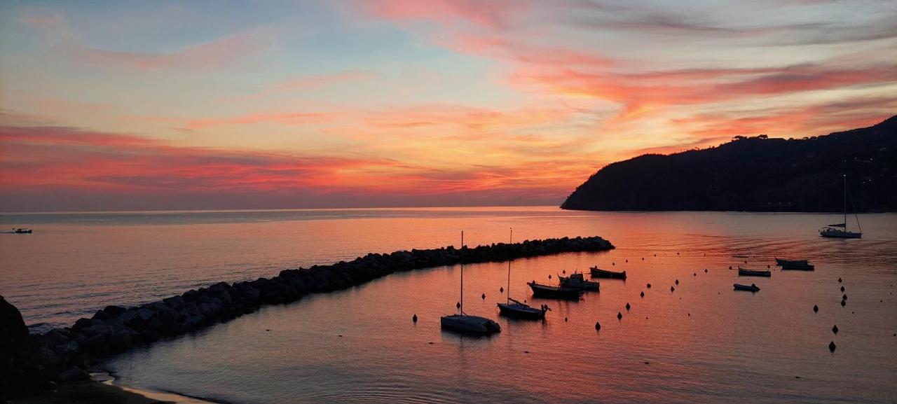 Galli Al Mare